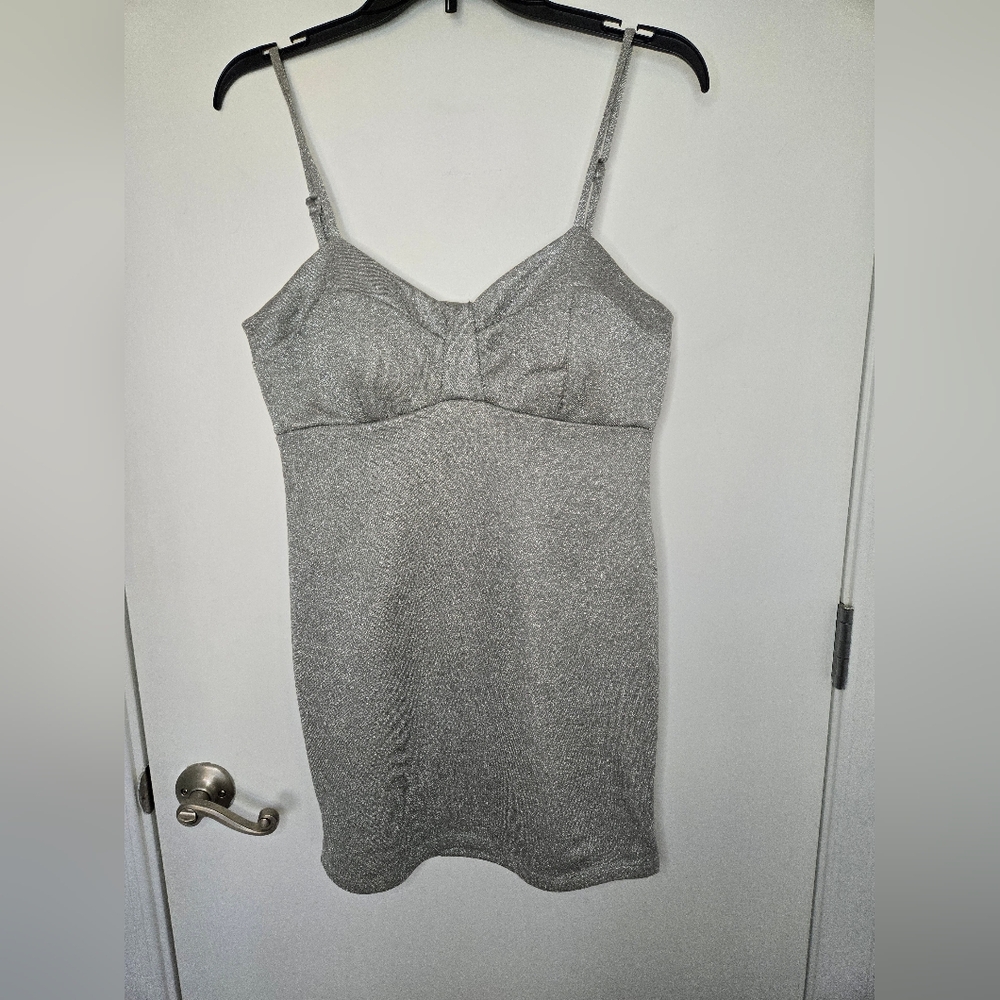NWT Lily Rose Dress, silver